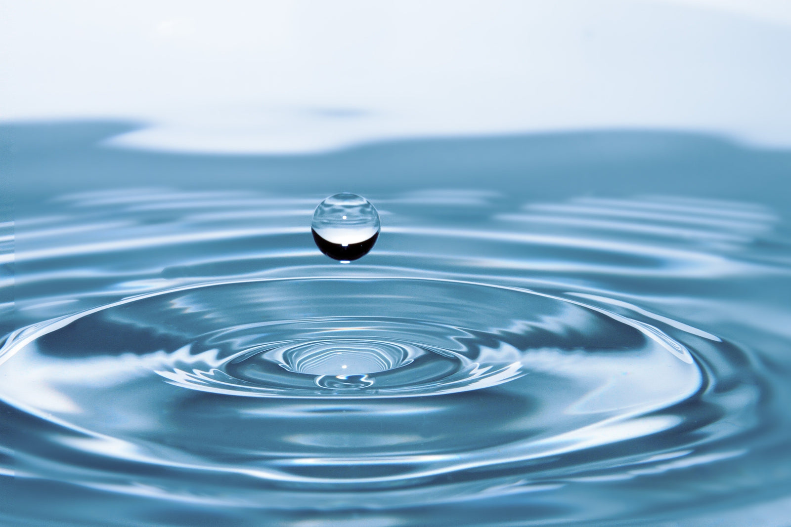 Rhizobacteria & Mikro-H20: Plant Growth Promoting Microbe? or Drought Relief Agent?