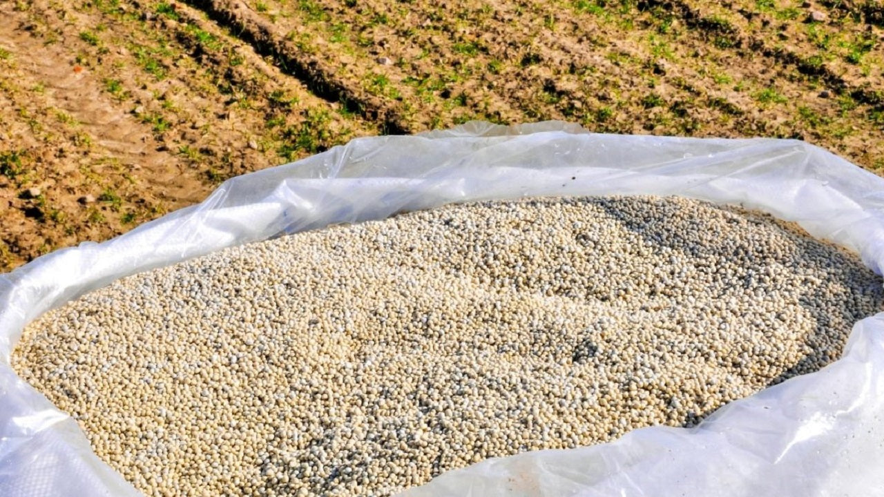 Fertilizer Not Working? Enhance Your Fertilizer's Performance with Soil Microbes!