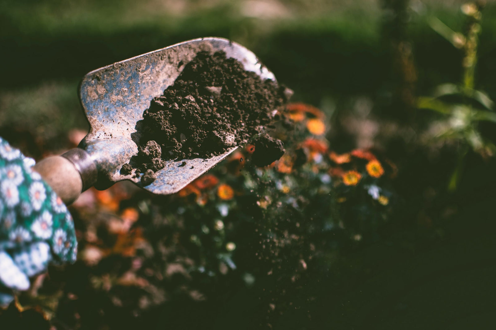 No-Dig Gardening or Never-Dig Gardening