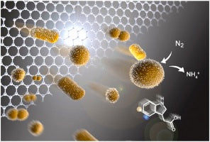 Azotobacter – Nature’s Nitrogen-Fixing Marvel in Agriculture