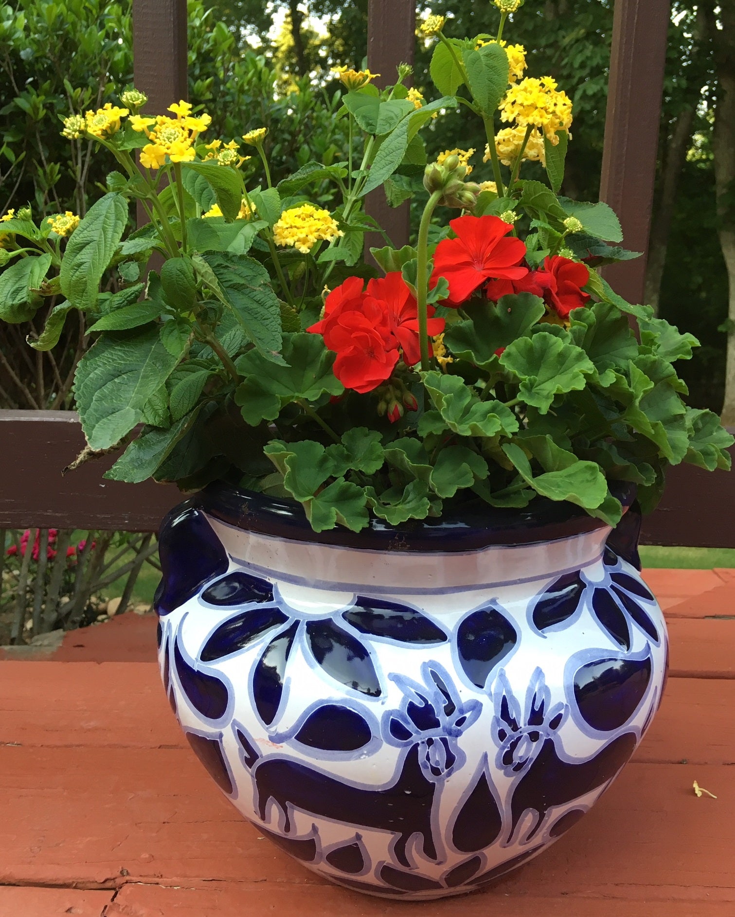 Adding Microbes in Soil: Feeding Plants Healthily and Organically