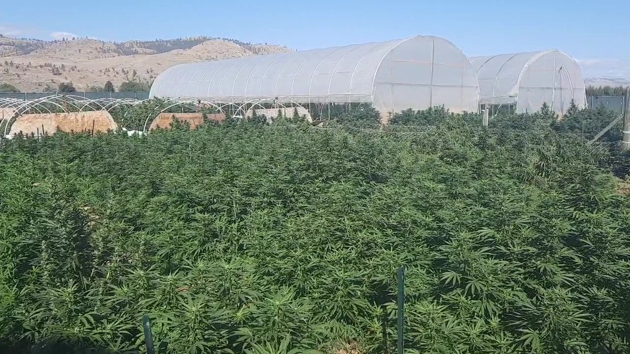 Mikrobs Field Test Report: Wildwood Flower Farm Edition