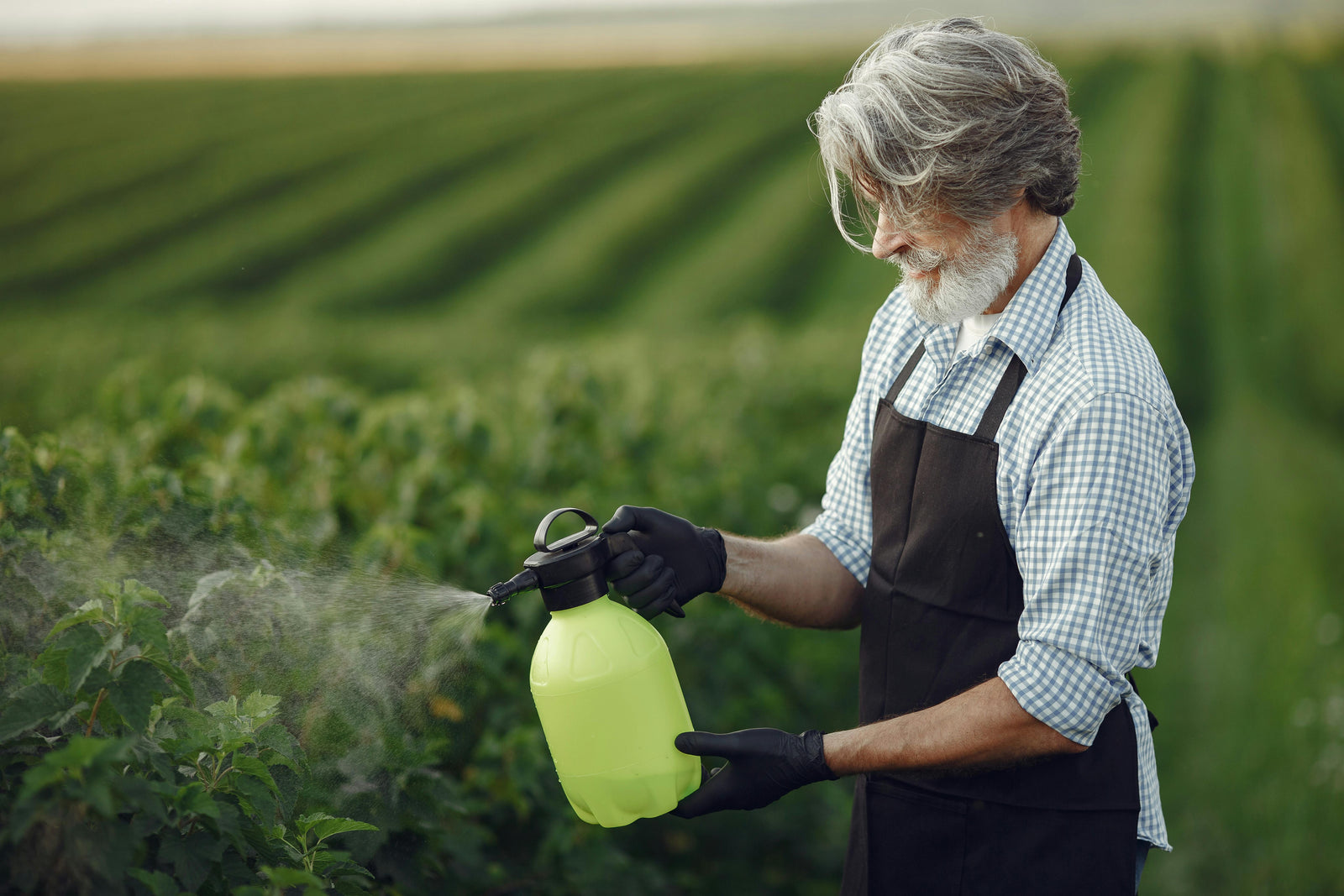 Fertilizer Not Working? Enhance Your Fertilizer's Performance with Soil Microbes!