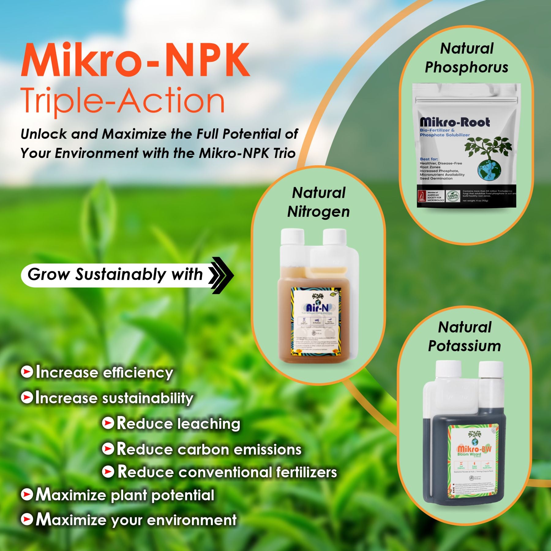 Mikro-NPK