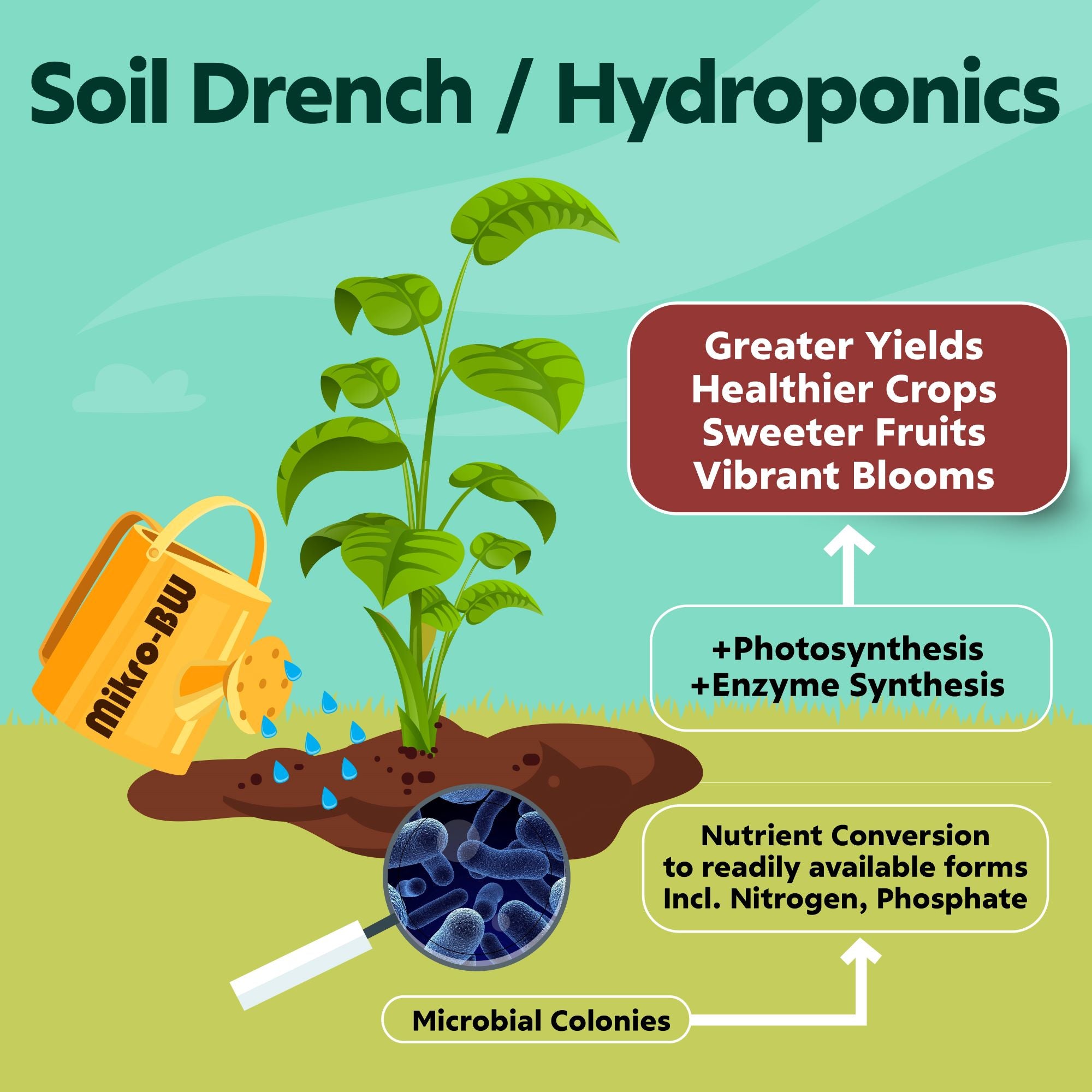 Mikro-Bloom Wizard (8 fl.oz. / 16 fl.oz. / 1 gal.)