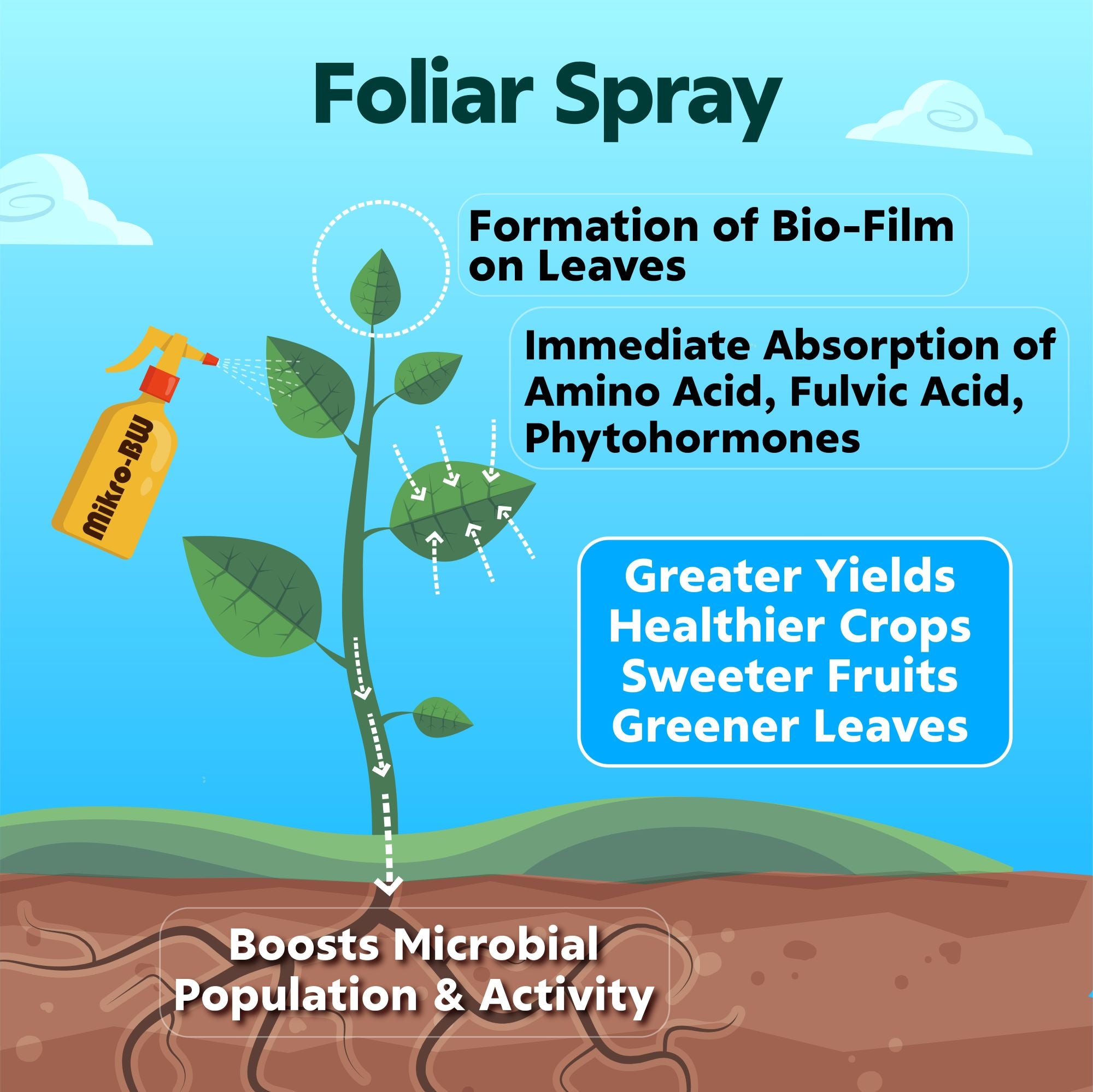 Mikro-Bloom Wizard (8 fl.oz. / 16 fl.oz. / 1 gal.)