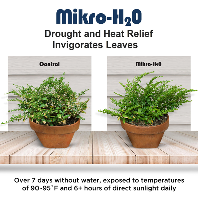 Mikro-H2O Pail (5 lbs / 25 lbs)