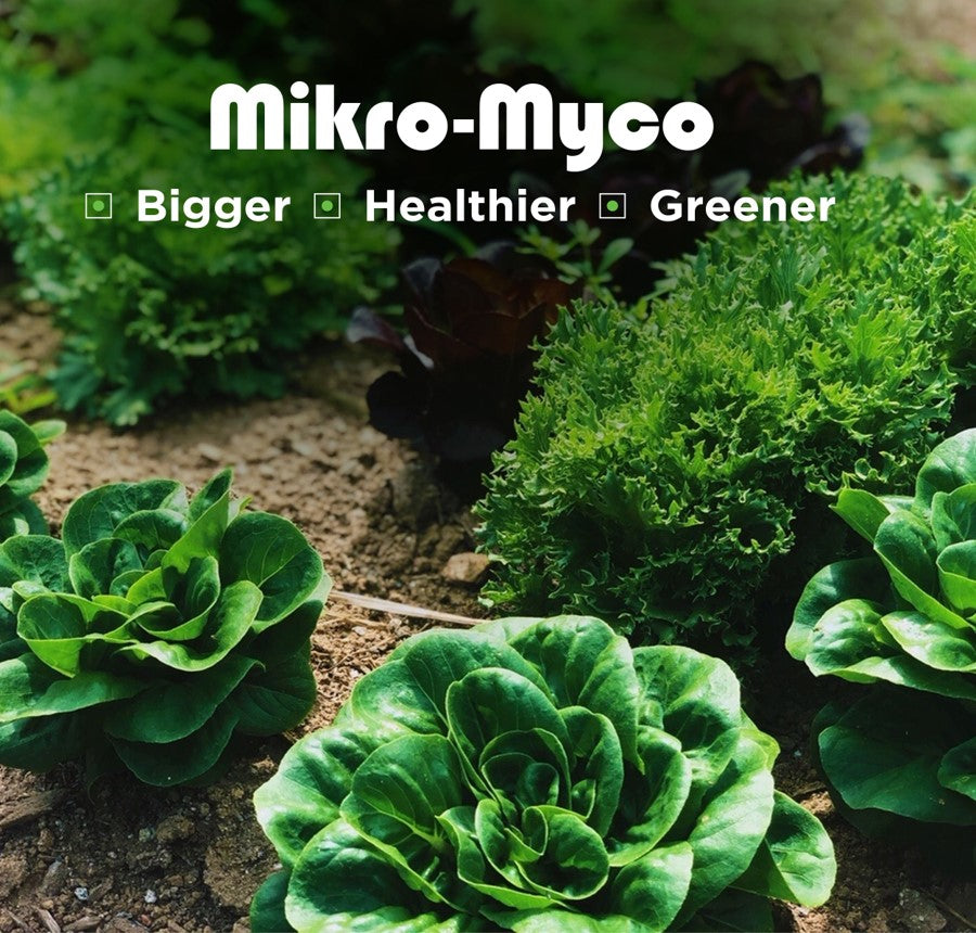 Mikro-Myco 2 oz.